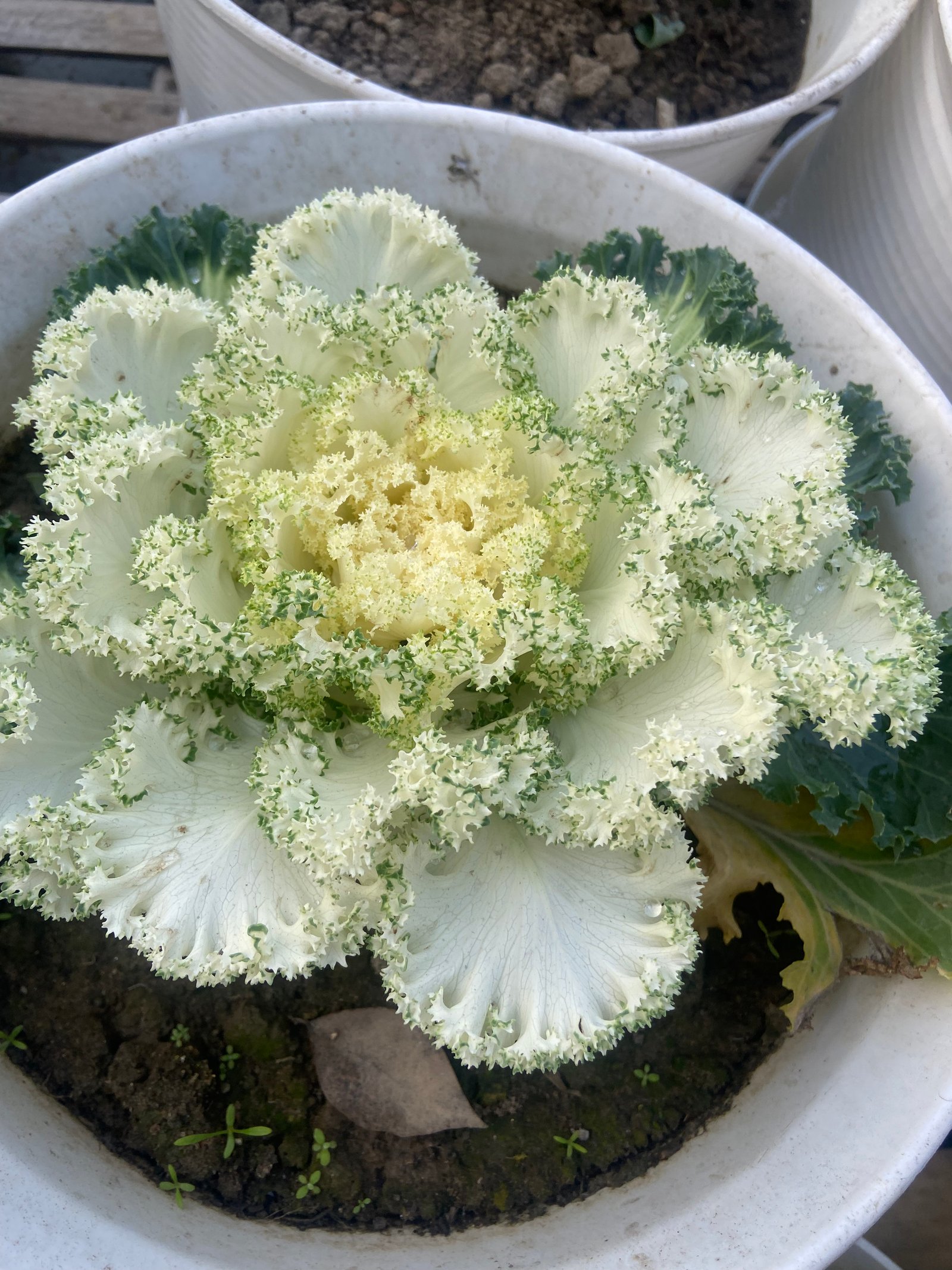 Hotels and Restaurant