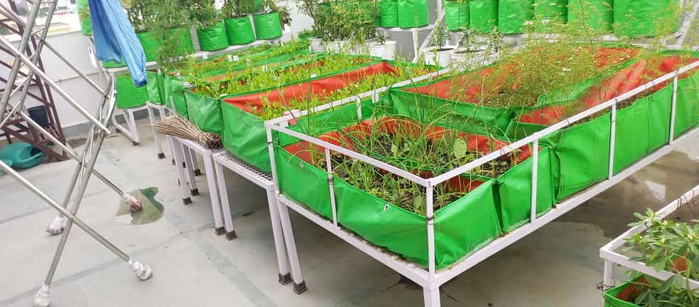 Portable Farming System